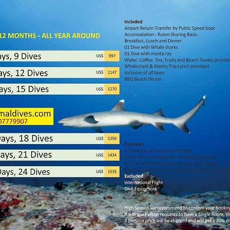 Liberty Guesthouse Maldives Mahibadhoo Ngoại thất bức ảnh